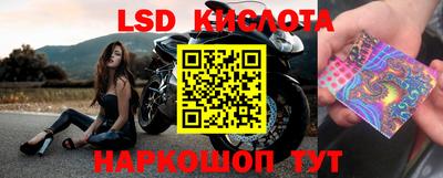 jwh Славгород