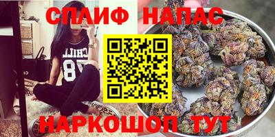 mdma Сланцы