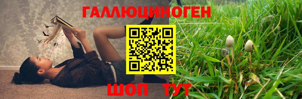 Псилоцибиновые грибы ЛСД  Вход с VPN  Новокубанск  Псилоцибиновые грибы ЛСД 