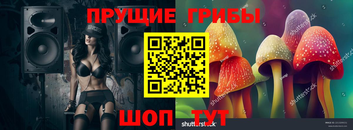 Псилоцибиновые грибы Cubensis Новокубанск