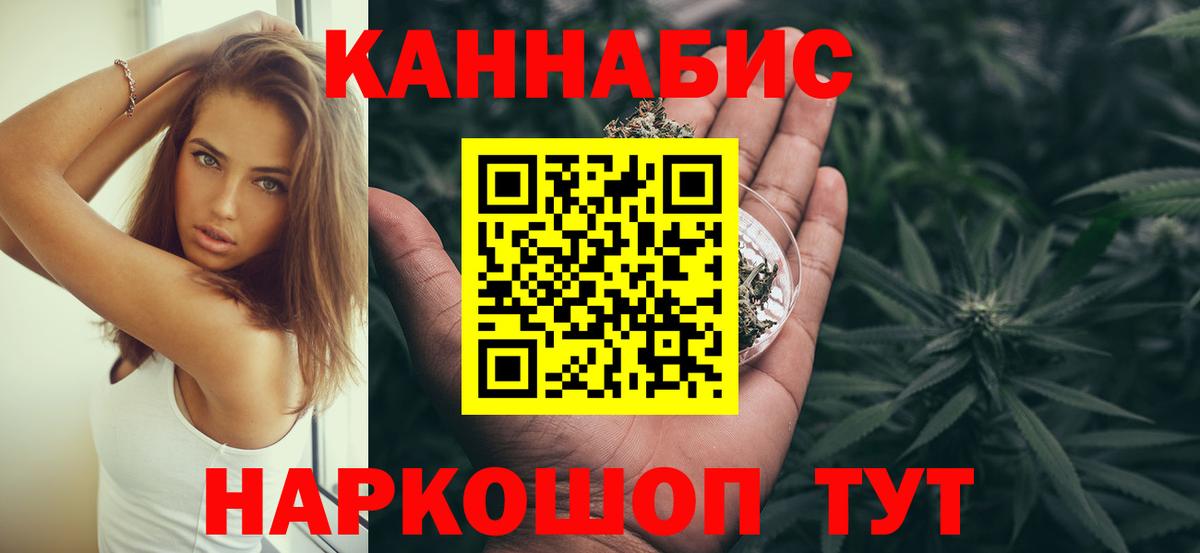 Бошки Шишки планчик Новокубанск